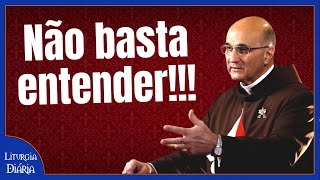 Não basta entender!!! I Pe. Roberto Polimeni I Liturgia Diária (18 abr. 2023)