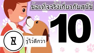 ความจริงที่คุณไม่รู้เกี่ยวกับสุนัข | มากรู้มากเห็น