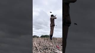 410 driven partridge shooting success