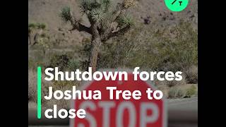 Shutdown Forces Closure of Joshua Tree National Park