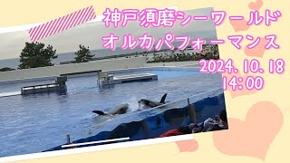 神戸須磨シーワールド　オルカパフォーマンス　2024.10.18 14:00