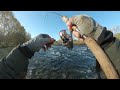 rainbowtrout in nz from taisei nonaka