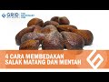 Cara Membedakan Salak Matang dan Mentah dengan Cek 4 Bagian Ini