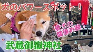 犬のパワースポット！武蔵御嶽神社で愛犬の健康祈願！