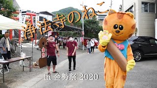 20200919  浄法寺のねこ in 金勢祭