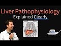 Liver Explained Clearly - Pathophysiology, LFTs, Hepatic Diseases