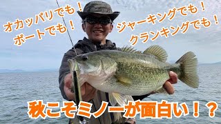 秋こそミノーが面白い！？オカッパリでも！ボートでも！ジャーキングでも！クランキングでも！