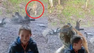 Top 20 Scariest Wild Animal Encounters in 2023 No One Saw Was Coming 😮