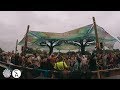 Captain Hook - Deep into Nature @ Psy-Fi Festival 2018