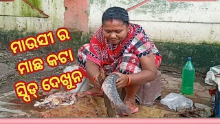 Fish cutting skill, Bargarh jail road  (ମାଛ କଟା ସ୍ପିଡ)