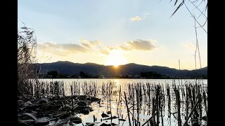 京都観光気分｜Vol 20 京都で一番夕日が映える！？広沢池をお散歩 観光地【 kyoto walk JAPAN vlog 4K ASMR 】