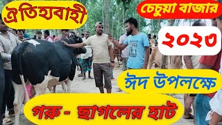 মুক্তাগাছা চেচুয়া বাজার গরু ছাগলের হাট ২০২৩।কোরবানি ঈদ উপলক্ষে।#muktagacha #mymensing #cowmarket2023