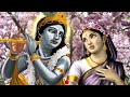 divine leelas of shri krishna shri krishna life series