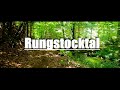 Wanderung ins Rungstocktal #cinematic  #erzgebirge