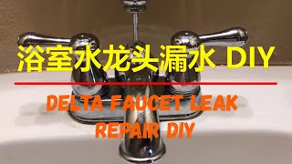 如何自己修理浴室水龙头漏水 Delta Faucet Leak Repair DIY