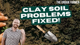 THIS Is The BEST Way To AMEND Clay Soil