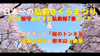 日本一弘前さくらまつり（桜守推奨の弘前7景ガイドと岩木山の絶景）