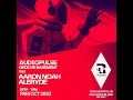 RAL SOCIETY - AUDIOPULSE   -  GROOVE BASEMENT feat ALERYDE