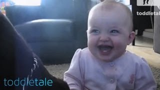 Baby Girl Laughing Hysterically at Dog Eating Popcorn | Laughing Babies | toddletale