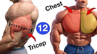Top 12 Chest and Triceps  Workouts  at gym   chest & triceps workout
