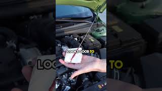 Check That Oil Level