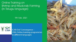 Online Training on Shrimp and Mudcrab Farming   (in Telugu)