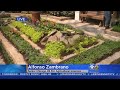 Agricultural School Students Create Secret Garden At Navy Pier