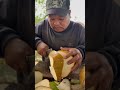 coconut cutting expert fruit coconuttips coconutcutting food streetfood cuttingskills