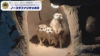 【ナイトルーティン】普段見れない閉園後の動物達の過ごし方