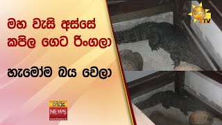 මහ වැසි අස්සේ කපිල ගෙට රිංගලා - හැමෝම බය වෙලා - Hiru News