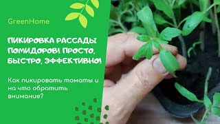 ПИКИРОВКА РАССАДЫ ПОМИДОР!!! ПРОСТО, БЫСТРО ЭФФЕКТИВНО! КАК УДОБНО ПИКИРОВАТЬ ТОМАТЫ