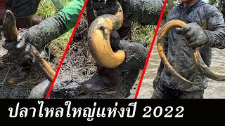 เหมาบ่อ (ตอนพิเศษ) รวมปลาไหลใหญ่แห่งปี 2022 | Ep.135