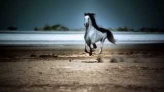 Katy Perry - DARK HORSE Music Video