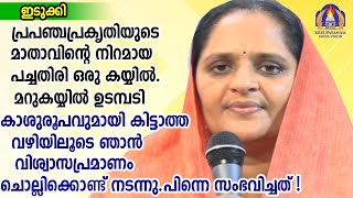 പ്രപഞ്ചപ്രകൃതിയുടെ മാതാവിന്റെ നിറമായ പച്ചതിരി ഒരു കയ്യിൽ.മറുകയ്യിൽ  മറുകയ്യിൽ ഉടമ്പടികാശുരൂപവുമായി