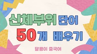 중국어  신체 부위  단어 50개 배우기