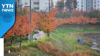 [날씨] 다시 초여름? 제주 25.9℃...오늘 벼락·돌풍 동반 가을 폭우 / YTN