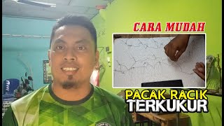 CARA MUDAH PACAK RACIK TERKUKUR / DERKUKU