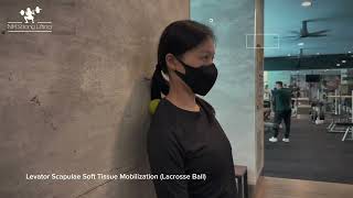 Lacrosse Ball: Levator Scapulae (Upper Trap) Soft Tissue Mobilization