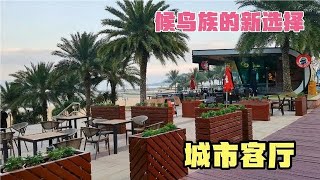 这个海滨城市环境真棒，冬天暖和很宜居，临海两居室比三亚便宜