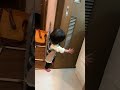 【1歳1ヶ月】はじめての脱出 baby to escape shorts