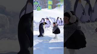 Kid vs Penguin: Who Walks Better? #penguin #KidVsPenguin #snow