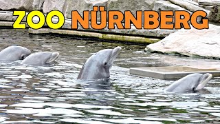 ZOO NÜRNBERG | Tiergarten Nürnberg