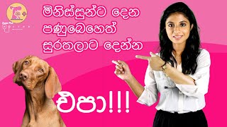 2. සුරතලාට පණු බෙහෙත් දෙන නිවැරදි ආකාරය!!! How to deworm Your pet properly?