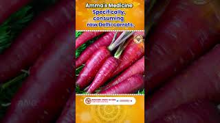 Food habits for good health | ஆரோக்கிய வாழ்விற்கு அன்னை அருளிய உணவு முறைகள்