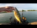 reeling in lake erie a kayak fishing journey for walleye and perch