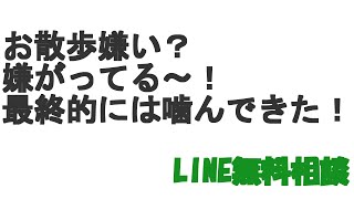 嫌なことすると噛んでくる～！　トイプードル　LINE無料相談