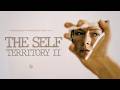 Kingdom School: The Occupy Mandate XVI - The Self Territory II