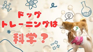 トレーニングは科学？？