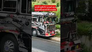 අරාබි කුමාරිට ආදරේ අය මාව සබ් කරන්න #automobile #buslovers #trendingshorts