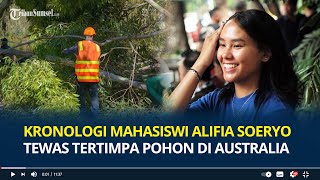 Kronologi Mahasiswi WNI Alifia Soeryo Tewas Tertimpa Pohon 10 Ton di Australia